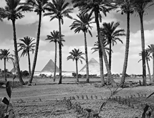 East Prints: Great Pyramids
