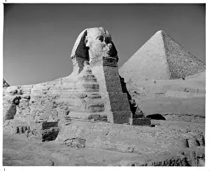 Lac0062 Prints: THE GREAT SPHINX OF GIZA