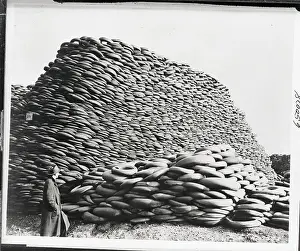Tire Prints: Great Stacks of Old Tires and Tubes