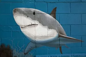 Street Art Collection: Great white shark