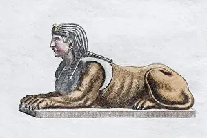 Animal Like Prints: Greek Sphinx, hand - colored copper engraving from Friedrich Justin Bertuch Picture