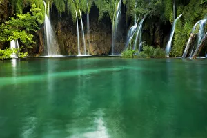 Images Dated 4th August 2015: Into the green