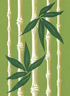 Tropic Collection: Green Bamboo