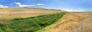 Green fertile river bed of the Cholame Creek in the middle of the dry California hills