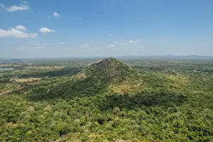 High Prints: Green forest view from Sigiriya or Sinhagiri (Lion Rock Sinhalese)
