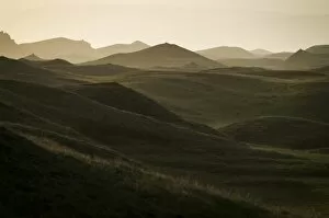 Green hills in back light, meadow, at Kirkjubaejarklaustur, South Iceland, Iceland, Europe