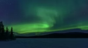 The green light of the Aurora