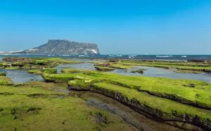Images Dated 19th March 2016: Green moss coast with Seongsan Ilchulbong Peak background