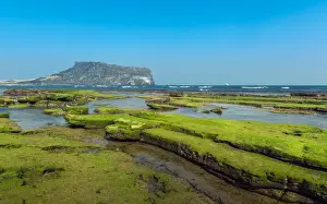 Green moss coast with Seongsan Ilchulbong Peak background