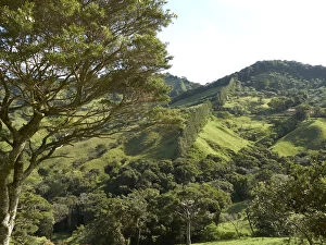 Green mountain forest, Ricon de la Vieja National Park, Province of Guanacaste, Costa Rica, Central America