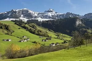 Green pastures in Appenzellerland in front of the snow-capped Appenzell Alps, Canton of Appenzell-Innerrhoden