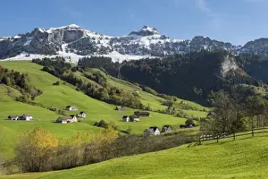Green pastures in Appenzellerland in front of the snow-capped Appenzell Alps, Canton of Appenzell-Innerrhoden, Switzerland, Europe