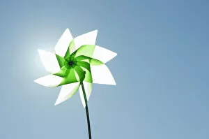 Images Dated 22nd October 2011: Green pinwheel