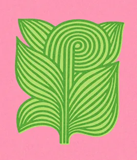 Environmental Conservation Collection: Green Plant