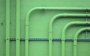 Images Dated 2019 May: 14 May 2019 Collection