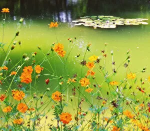 Green Pond