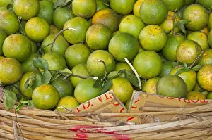 Asian Prints: Green Pursat-oranges, a special variety of oranges at a market in Battambang