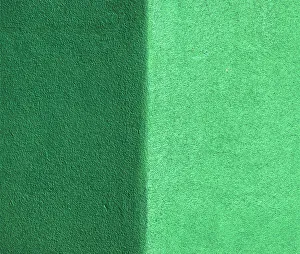 Images Dated 29th August 2019: Green Shiny Corner