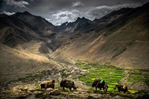 Green valley in Tibet