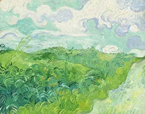 Low Countries Prints: Green Wheat Fields