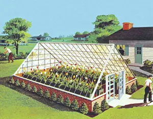 Greenhouse in Backyard