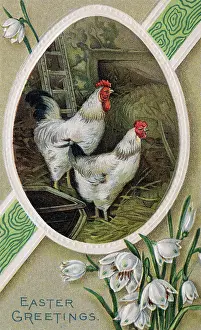 Greeting Card Prints: Greeting Card W/Chickens/Flowers/Illust