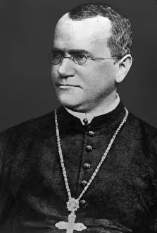 Shoulders Roles Prints: Gregor Mendel