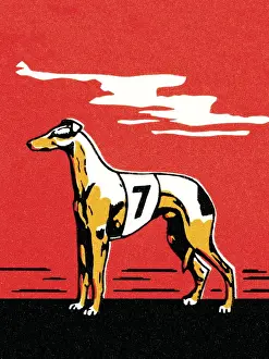 Illustration An Prints: Greyhound