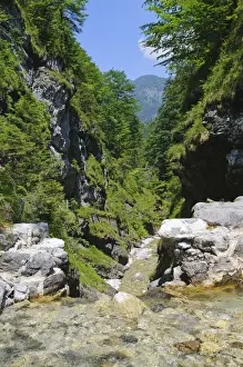 Gorge Prints: Griessbachklamm gorge, Erpfendorf near St. Johann, Tyrol, Austria, Europe