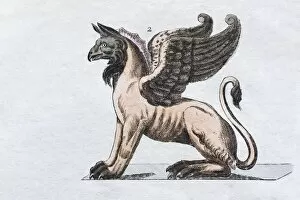 Images Dated 3rd July 2017: Griffin, hand - colored engraving from Friedrich Justin Bertuch Picture book for children