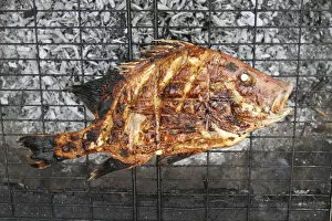 Grilled fish on a grid