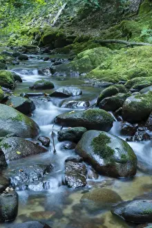 Southern German Prints: Grobbach creek near Geroldsauer Wasserfall waterfall