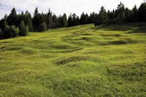 Oberbayern Prints: Groeblalm mountain pastures near Mittenwald