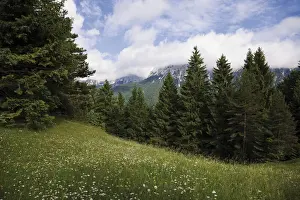 Oberbayern Prints: Groeblalm mountain pastures near Mittenwald