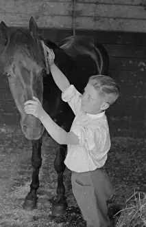 M Spo Hors Stable Boys Prints: Grooming Hack