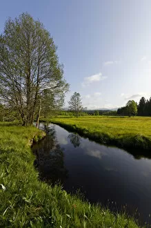 Images Dated 2nd June 2012: Grosse Ohe river in the Klosterfilz, Sankt Oswald-Riedlhutte, near Riedelhutte
