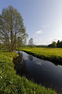 Grosse Ohe river in the Klosterfilz, Sankt Oswald-Riedlhutte, near Riedelhutte, Bavarian Forest National Park, Lower Bavaria, Bavaria, Germany