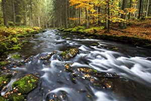 Images Dated 16th October 2014: Grosser Regen river, autumn, Bavarian Forest National Park, Bavaria, Germany