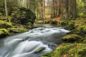 Images Dated 14th October 2014: Grosser Regen river, autumn, Bavarian Forest National Park, Bavaria, Germany