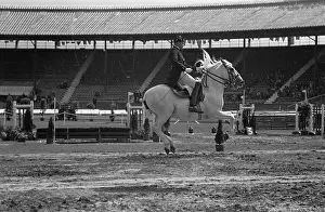 Equestrian Prints: Above The Ground