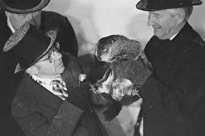 Groundhog Prints: Groundhog Day Inspectors with Groundhog