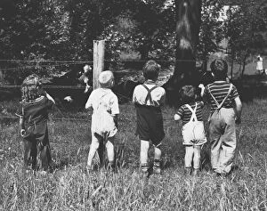 Group of Children Looking at Cows in a Field