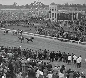 A Group of Horses Running in A Race