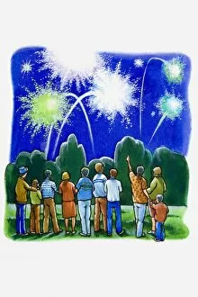 Images Dated 29th January 2008: Group of people watching fireworks display in a park