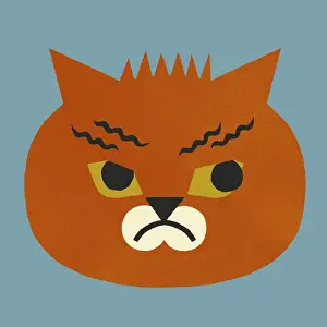 Unhappy Prints: Grumpy Cat