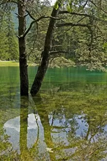 Images Dated 17th June 2009: Gruner See or Green Lake, Tragoss, Styria, Austria