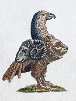 Gryllus, handcoloured copper engraving from Friedrich Justin Bertuch Picture book for children