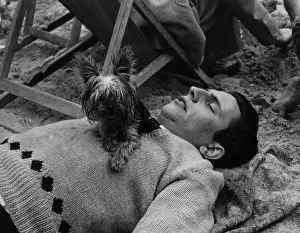 M Rec Seas Beaches Bri Blackpool Prints: Guard Dog