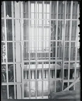 Guard as Seen Outside Jail Bars