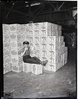 Warehouse Prints: Guard Sits On Cases Of Whiskey